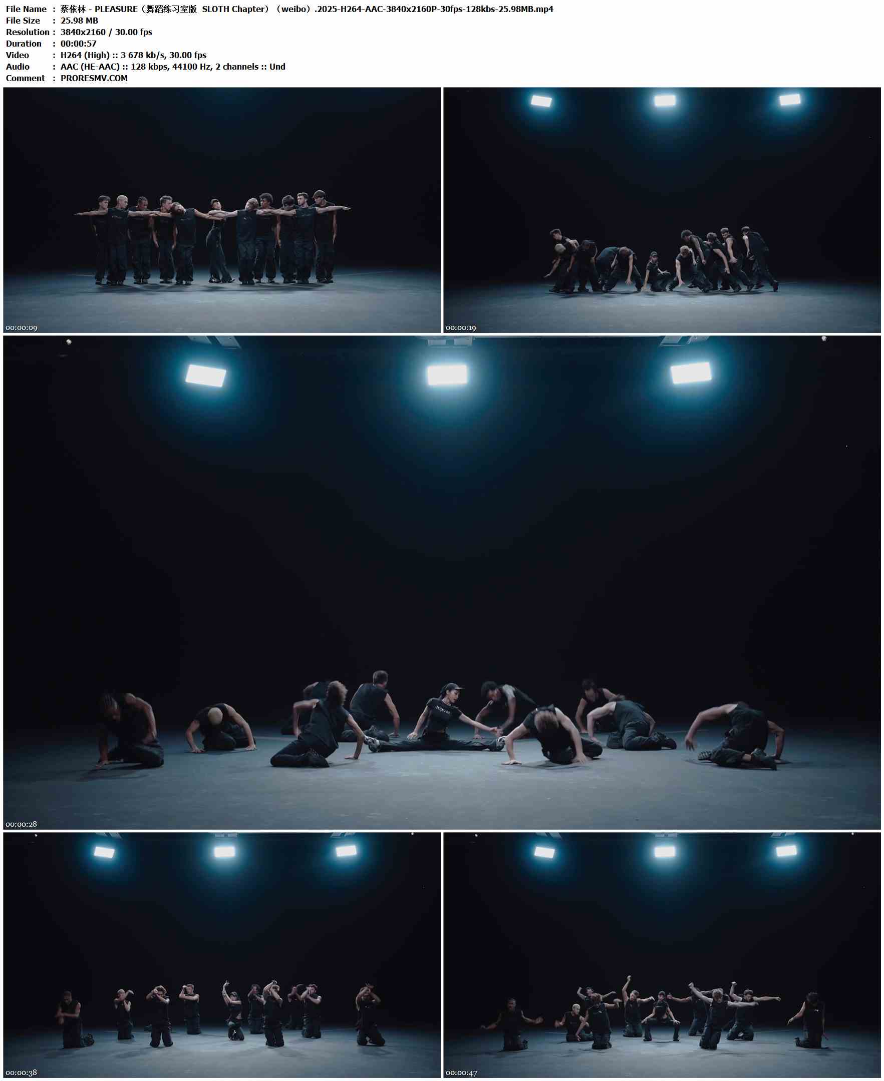 蔡依林 - PLEASURE（舞蹈练习室版  SLOTH Chapter）（weibo）.2025-H264-AAC-3840x2160P-30fps-128kbs-25.98MB官方MV_高清MV